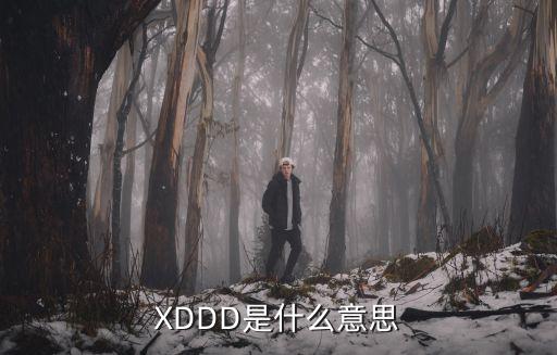 股票狒狒是什么意思，XDDD是什么意思