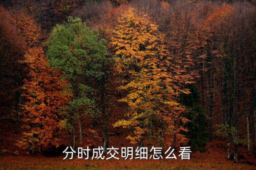 股票分时成交明细怎么看，如何看股票分时成交明细