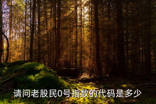 请问老股民0号指数的代码是多少