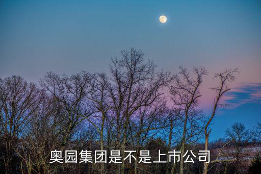奥园地产是什么股票，请问下有谁听说过中国奥园地产集团吗