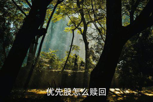 优先股怎么赎回
