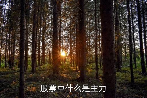股票中什么是主力