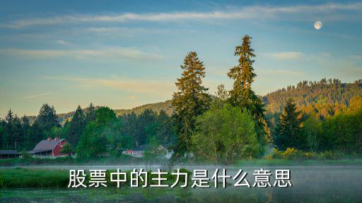 股票中的主力是什么意思