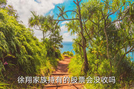 徐翔的股票怎么处理，东兴证券交易单元是机构还是游资
