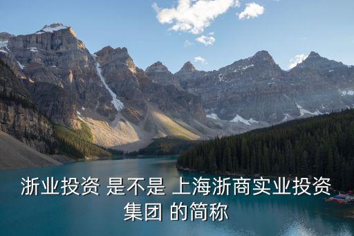 浙投是什么股票行业，浙里投是什么公司和人众金服是一个公司吗