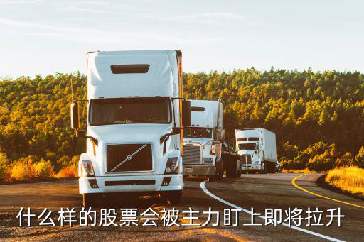 主力资金关注什么股票涨停，主力喜欢在什么地方打涨停板