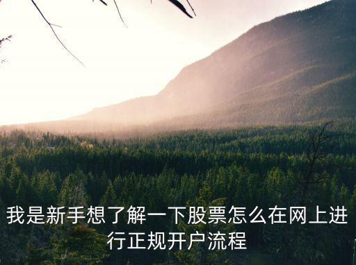 我是新手想了解一下股票怎么在网上进行正规开户流程