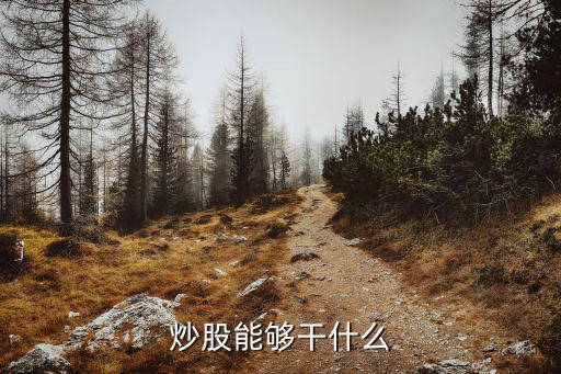 炒股能够干什么