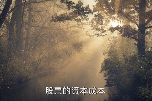 投资股票的成本计入什么，投资股票的会计分录