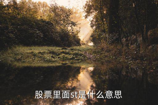 股票里st什么意思，股票里面st是什么意思