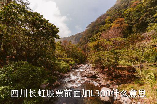 长虹股票是什么意思，看看外面的行情