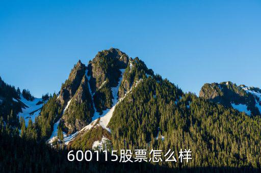 600115股票怎么样