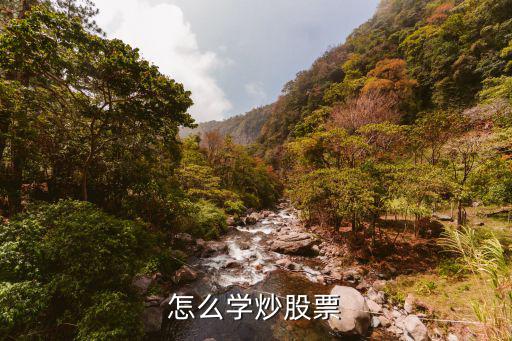 想玩股票怎么学，怎么学炒股票