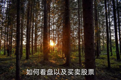 如何看盘以及买卖股票