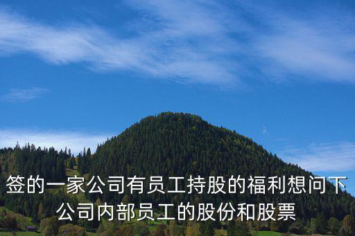 内部员工是什么股票，上市股与企业内部员工股的区别
