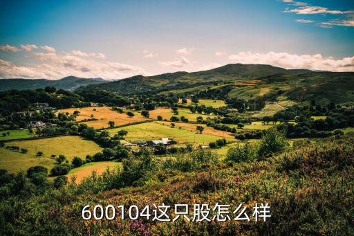 国泰大健康股票怎么样，600104这只股怎么样