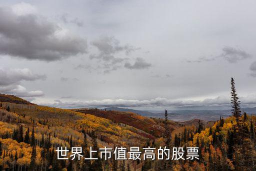 世界上市值最高的股票