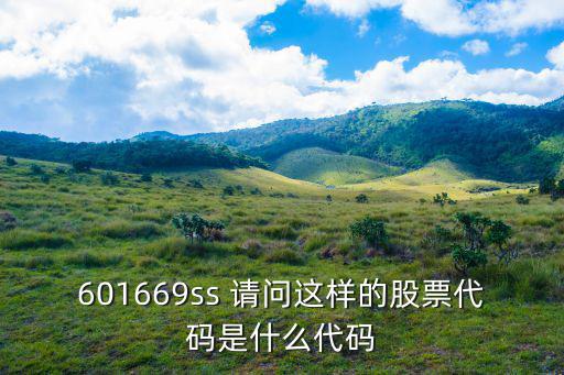 打扮家股票是什么代码，601669ss 请问这样的股票代码是什么代码