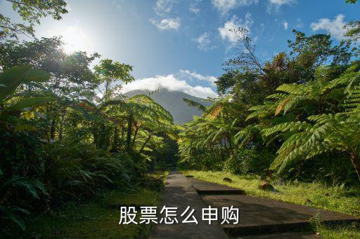 精选层股票怎么申购，申购新股怎样申购