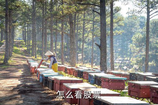 怎么看股票