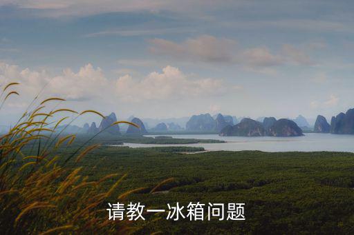 请教一冰箱问题