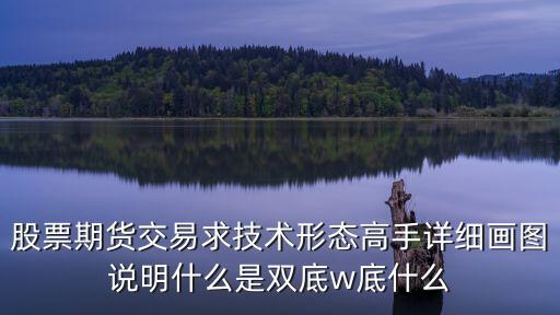 股票期货交易求技术形态高手详细画图说明什么是双底w底什么