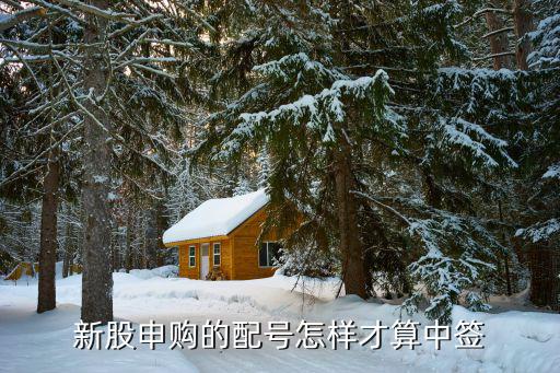 新股申购的配号怎样才算中签