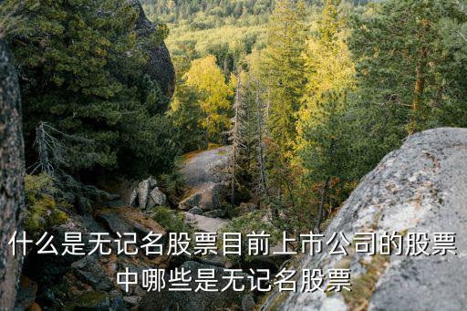 无记名股票什么意思，为什么无记名股票持有者出席股东大会时须将股票交存于公司