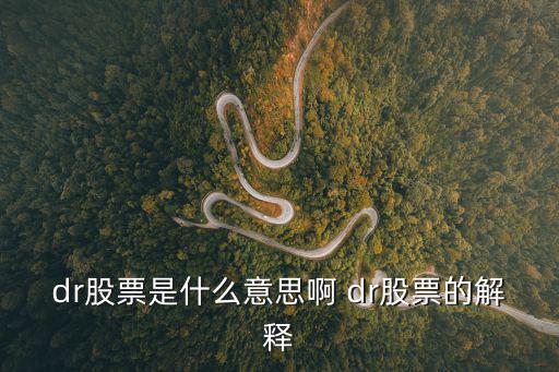 DR股票怎么，dr股票是什么意思啊 dr股票的解释