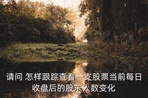 请问 怎样跟踪查看一支股票当前每日收盘后的股东人数变化