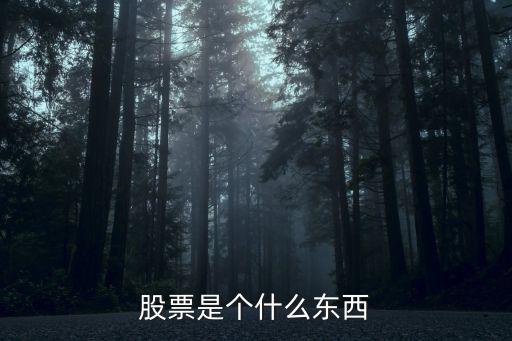 股票是个什么东西
