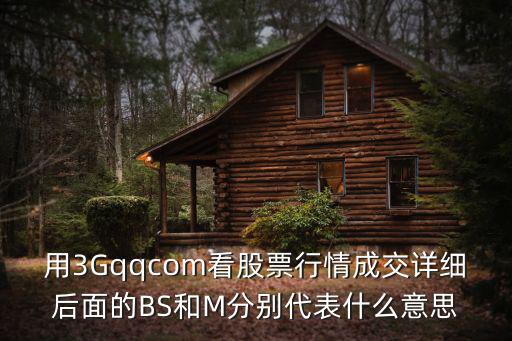 股票买卖m代表多少，用3Gqqcom看股票行情成交详细后面的BS和M分别代表什么意思