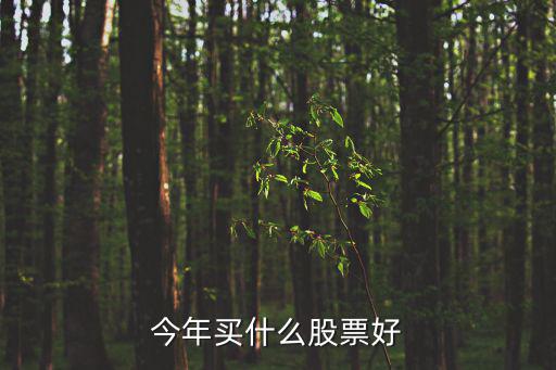特斯拉什么时候卖股票，今年买什么股票好
