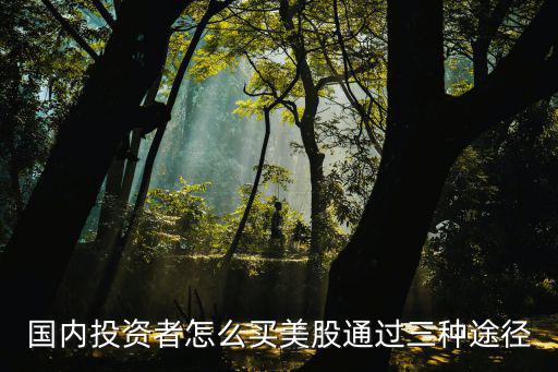 怎么买美股票，美国股票怎么买
