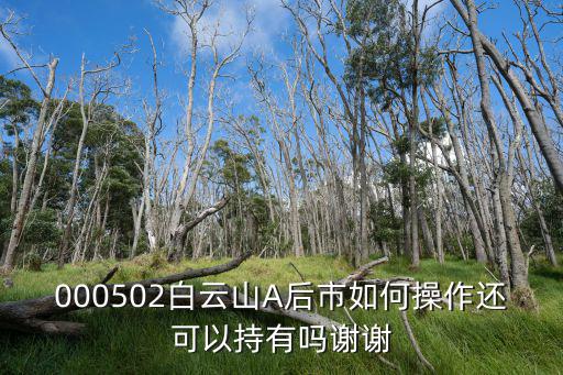 白云山股票怎么样，白云山股票是那一年涨到一股五元多