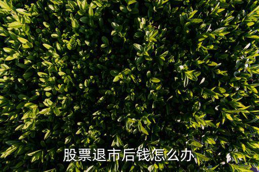股票退市后钱怎么办