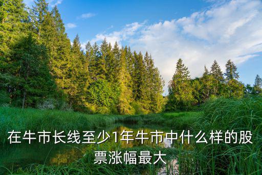 牛市里什么股票涨势猛，大牛市来临什么股涨的最好