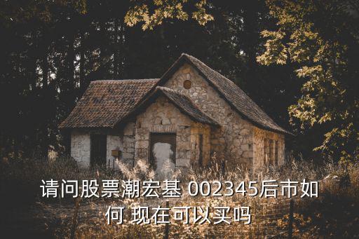 请问股票潮宏基 002345后市如何 现在可以买吗