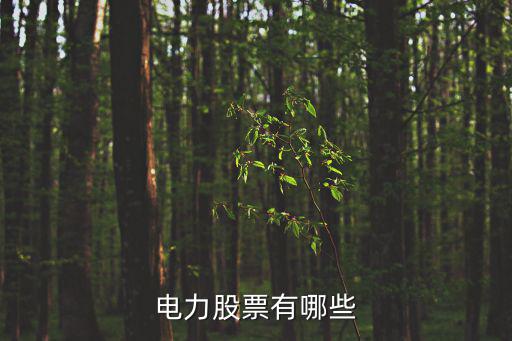 电力股票有哪些