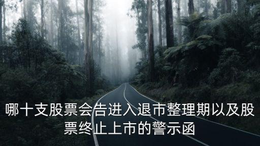 哪十支股票会告进入退市整理期以及股票终止上市的警示函