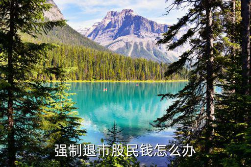强制退市股民钱怎么办