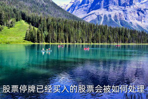 股票停牌已经买入的股票会被如何处理