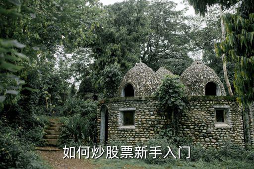 如何炒股票新手入门