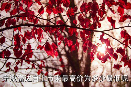宁波富达股票净值是多少，刚入手宁波富达600724不知走势会如何求解