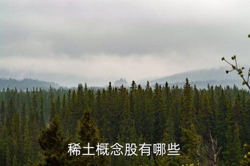 稀土概念股有哪些