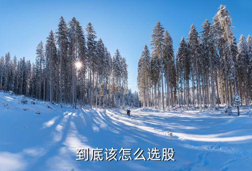 股票怎么选股，怎样选股票