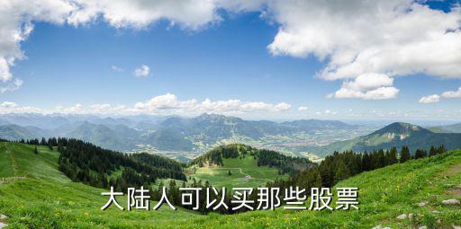 国内现在能买到什么股票，大陆人可以买那些股票