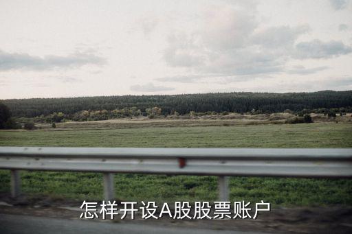 怎样开设A股股票账户