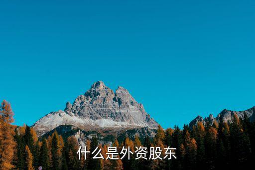 什么是外资股东