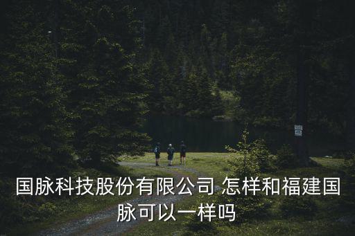 国脉科技股份有限公司 怎样和福建国脉可以一样吗